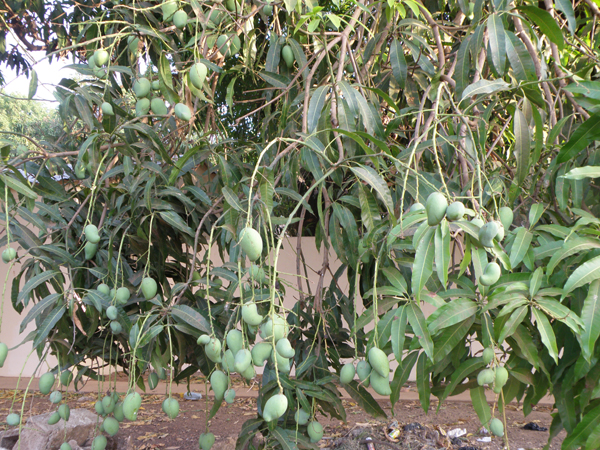 P2270010.JPG